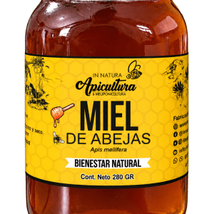 MIEL DE ABEJAS EN FRASCO 280 GR